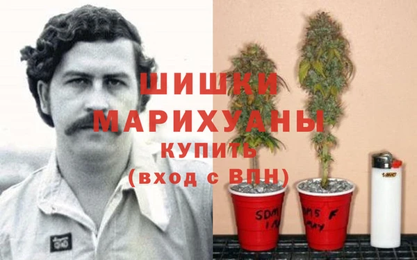 мяу мяу мука Мегион
