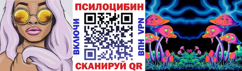 Псилоцибиновые грибы Psilocybe omg рабочий сайт Кызыл продажа наркотиков