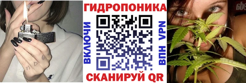 ссылка на мегу tor  Кызыл  Марихуана семена  купить наркоту 